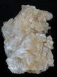 Bargain Caramel Calcite Cluster - Mexico #33741-2